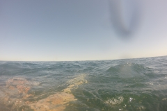 DCIM100GOPRO